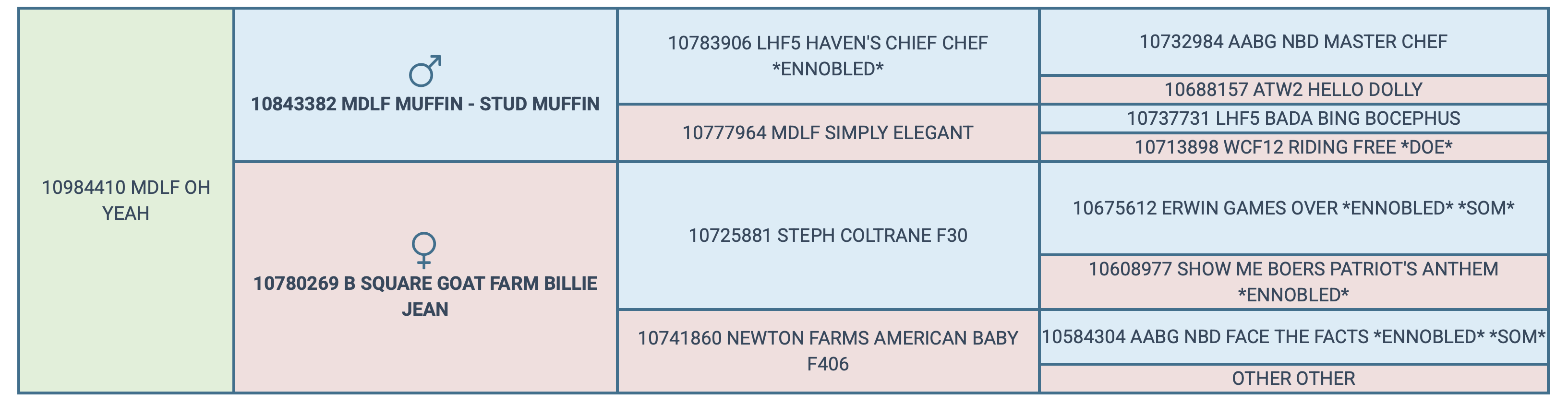 Screenshot 2025-04-11 at 8.28.49 PM